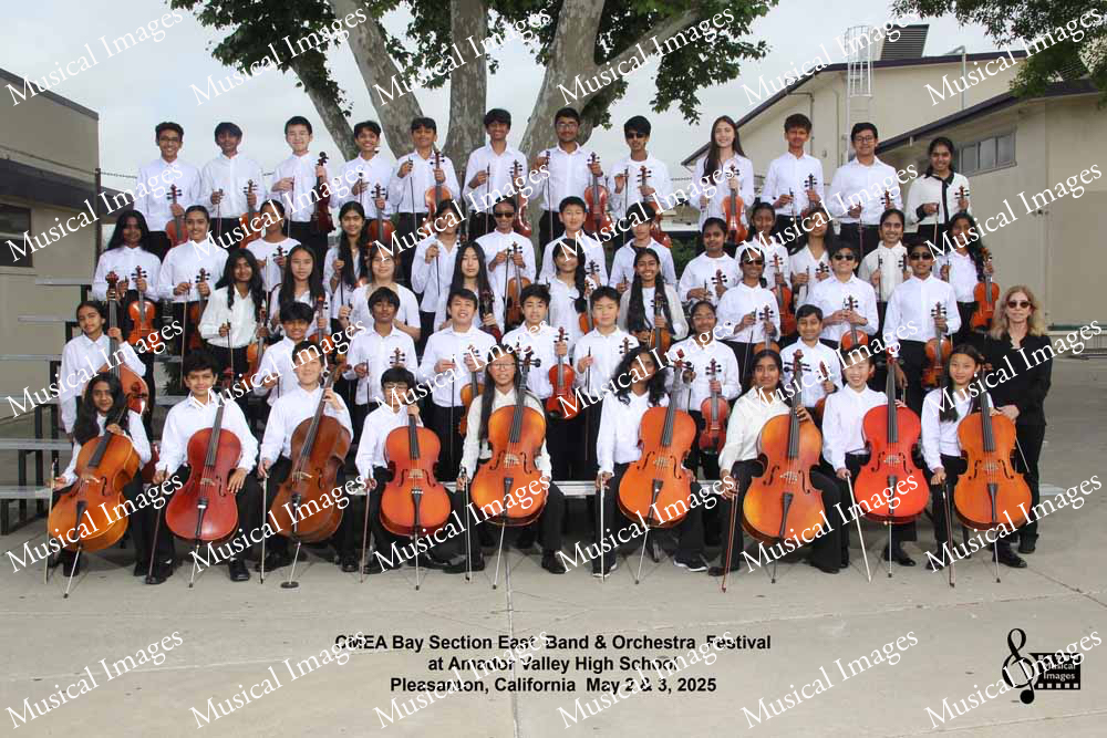 Musical Images